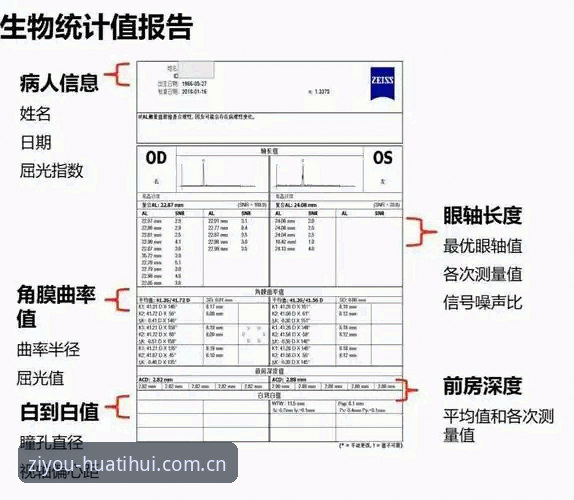 华体会官网数据查询 华体会官网数据查询功能全面解析:从场景到落地的实用指南